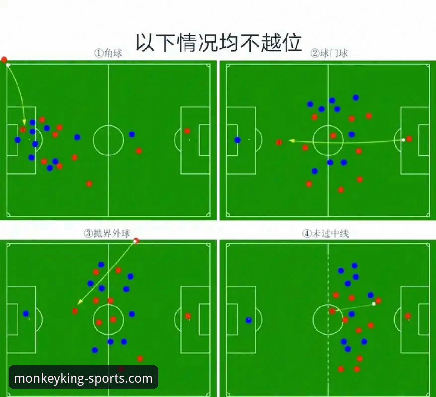 如何通过专业体育平台深度解析阿根廷队世界杯前的战术损失？