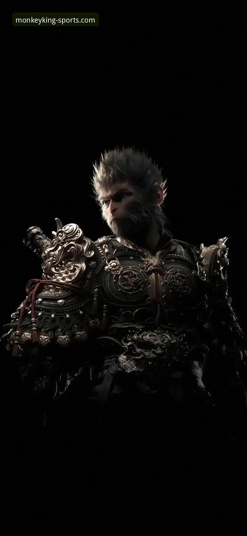 悟空体育免费观看如何重塑你的观赛体验？